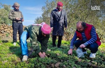 للمرة الثانية.. الطيران الإسرائيلي يرش مواد مجهولة على أراض في جنوب سورية للمرة الثانية.. الطيران الإسرائيلي يرش مواد مجهولة على أراض في جنوب سورية