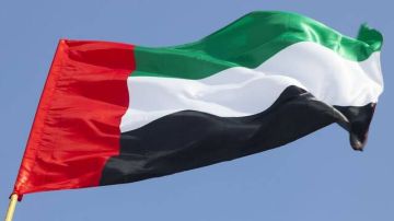 صناديق الثروة الإماراتية تقود توسع الائتمان الخاص في الأسواق الناشئة خلال 2026