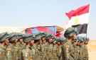 وزير الخارجية المصري: قدمنا دعما عسكريا لدول خليجية لصد اعتداءات إيران 