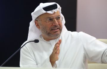 أنور قرقاش يعلق على الخطاب المعادي للإمارات