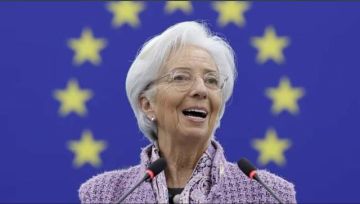 توقعات برحيل كريستين لاجارد عن المركزي الأوروبي قبل نهاية ولايتها توقعات برحيل كريستين لاجارد عن المركزي الأوروبي قبل نهاية ولايتها