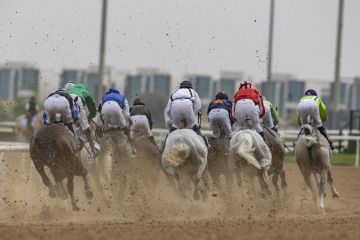 انطلاق كأس دبي العالمي للخيول 2026.. إليك الفائزين في الأشواط الخمسة الأولى
