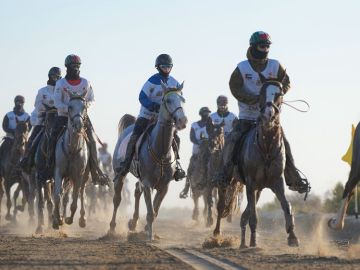 النسخة الـ18 من «مهرجان ولي عهد دبي للقدرة» تشهد انطلاق «كأس اليمامة للأفراس» غداً