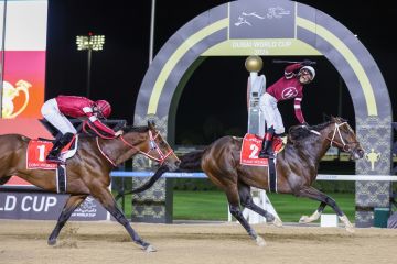 الفارس أورتيز: دبي أهدتني حلم حياتي