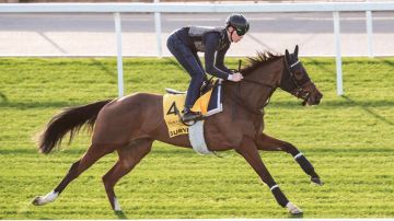  سيرفي تتحدى المنافسين في شيما كلاسيك 