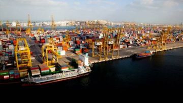  موانئ دبي تبحث مع شركات الملاحة تعزيز استمرارية سلاسل الإمداد