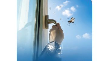 14 إجراء وقائيا للحد من انتشار البعوض نتيجة تجمعات مياه الأمطار