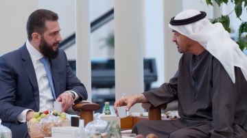 سوريا.. فيديو مراسم استقبال محمد بن زايد للرئيس أحمد الشرع