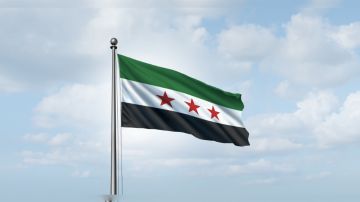 إعداد مشروع قانون جديد في سوريا لتنظيم حق التظاهر السلمي