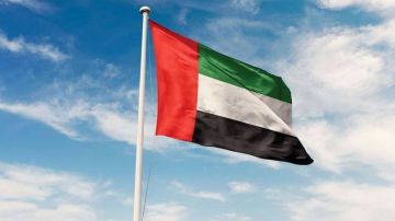 الإمارات ترحب بقرار قانونية المنظمة البحرية الدولية تأكيد حق المرور العابر في مضيق هرمز