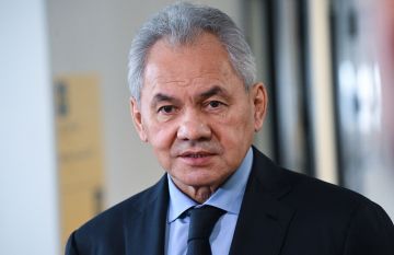 شويغو يعقد لقاء مع سفير الإمارات في موسكو