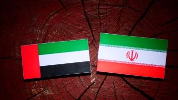 الإمارات تطمئن الجالية الإيرانية: نهجنا مؤسسي ولا مكان للمزاعم غير الدقيقة