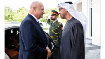 رئيس الدولة ومستشار النمسا يبحثان تعزيز الشراكة الاستراتيجية الشاملة