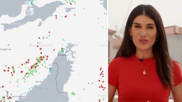 قرقاش: لا يمكن الوثوق بأي ترتيبات إيرانية أحادية حول هرمز