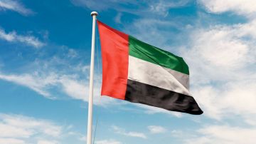 الإمارات تدين استهداف آلية تابعة للجيش اللبناني الإمارات تدين استهداف آلية تابعة للجيش اللبناني
