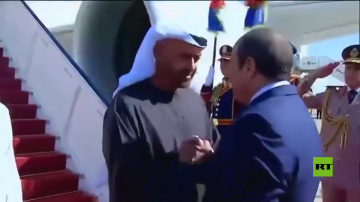 الرئيس المصري عبد الفتاح السيسي يستقبل نظيره الإماراتي محمد بن زايد آل نهيان في القاهرة الرئيس المصري عبد الفتاح السيسي يستقبل نظيره الإماراتي محمد بن زايد آل نهيان في القاهرة