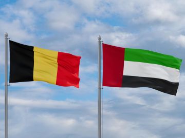 الإمارات تسلم 3 مطلوبين بنشرات حمراء إلى بلجيكا الإمارات تسلم 3 مطلوبين بنشرات حمراء إلى بلجيكا