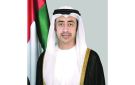 عبدالله بن زايد ووزير العلاقات الدولية الجنوب إفريقي يبحثان تداعيات الاعتداءات الإيرانية - ae