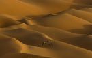 مصور عراقي يحول رمال الصحراء في ليوا بأبوظبي إلى لوحات فنية