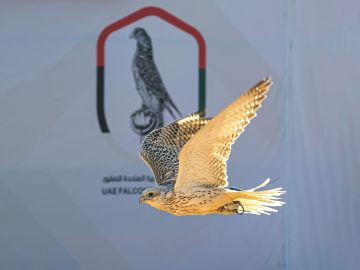 بتوجيهات منصور بن زايد ورعاية أحمد بن محمد.. البحرين تستضيف النسخة الثانية من كأس الإمارات العالمي لسباقات الصقور