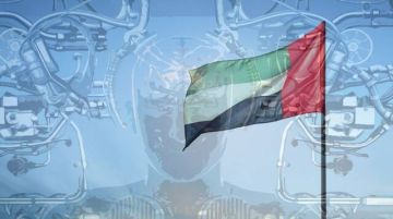 الإمارات الأولى إقليميا و17 عالميا في مؤشر مهارات المستقبل الإمارات الأولى إقليميا و17 عالميا في مؤشر مهارات المستقبل