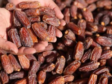 الإمارات.. مجلس الإفتاء يقرر نصابا موحدا لزكاة التمور