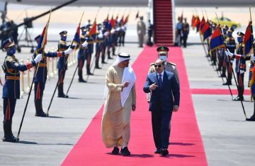 مصر تحسم الجدل حول الاستغناء عن العمالة المصرية في الإمارات مصر تحسم الجدل حول الاستغناء عن العمالة المصرية في الإمارات