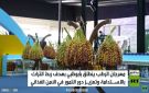 أبوظبي تحتفي بموسم النخيل والتمور