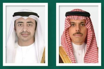 وزير الخارجية ونظيره الإماراتي يبحثان مستجدات الأوضاع بالشرق الأوسط وزير الخارجية ونظيره الإماراتي يبحثان مستجدات الأوضاع بالشرق الأوسط