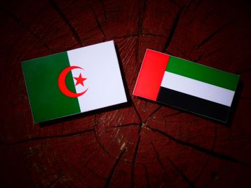 الجزائر والإمارات إلى القطيعة الدبلوماسية.. مسار خلافات تراكمت حول ملفات المغرب والساحل والتطبيع الجزائر والإمارات إلى القطيعة الدبلوماسية.. مسار خلافات تراكمت حول ملفات المغرب والساحل والتطبيع