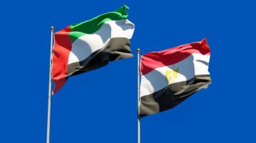 تمديد الشراكة المصرية الإماراتية في التحديث الحكومي لخمس سنوات جديدة تمديد الشراكة المصرية الإماراتية في التحديث الحكومي لخمس سنوات جديدة