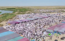 1400 رأس من الغنم و 223 جملا وسرب من الغزلان غداء أكبر عرس في العراق 