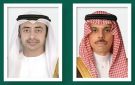 وزير الخارجية ونظيره الإماراتي يبحثان مستجدات الأوضاع بالشرق الأوسط