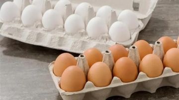 أسعار البيض اليوم السبت 4-10-2025 في المزارع والأسواق المصرية