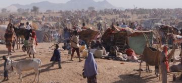 الحكومة السودانية تتهم الدعم السريع بارتكاب فظائع في الفاشر الحكومة السودانية تتهم الدعم السريع بارتكاب فظائع في الفاشر