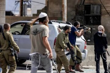 مستوطنون صهاينة يقطعون أشجار زيتون معمرة جنوب مدينة نابلس مستوطنون صهاينة يقطعون أشجار زيتون معمرة جنوب مدينة نابلس