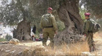 العدو الصهيوني ومستوطنيه يواصلون إعتداءاتهم بحق الفلسطينيين في الضفة العدو الصهيوني ومستوطنيه يواصلون إعتداءاتهم بحق الفلسطينيين في الضفة
