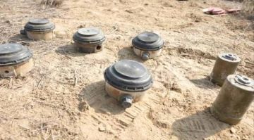 مسام ينزع أكثر من 800 لغم وذخائر غير منفجرة خلال أسبوع مسام ينزع أكثر من 800 لغم وذخائر غير منفجرة خلال أسبوع