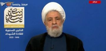 الأمين العام لحزب الله: خطة ترامب إسرائيلية بلبوس أميركي والمقاومة الفلسطينية هي من يقرر مصير غزة