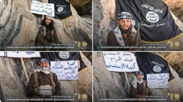 تنظيم القاعدة ينشر صور وأسماء منفذي الهجوم على المجمع الحكومي في المحفد بأبين (أسماء) تنظيم القاعدة ينشر صور وأسماء منفذي الهجوم على المجمع الحكومي في المحفد بأبين (أسماء)