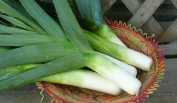 فوائد صحية جمة للكراث.. تعرف عليها فوائد صحية جمة للكراث.. تعرف عليها