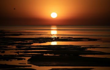 الخطط المناخية للدول بعيدة جدا عن تحقيق هدف اتفاق باريس