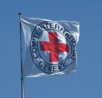  الصليب الأحمر تدعو لوقف دائم لإطلاق النار بغزة وتؤكد استعدادها للمساعدة في نقل الأسرى