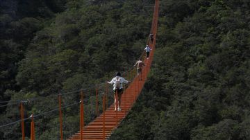 (سلم السماء) بكولومبيا.. مغامرة على حافة السحاب