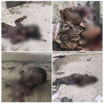 إحباط هجوم إرهابي على المجمع الحكومي في المحفد