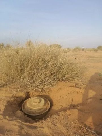 نفوق قطيع من الغنم بانفجار لغم حوثي في عبس وإصابة طفل بصدمة شديدة نفوق قطيع من الغنم بانفجار لغم حوثي في عبس وإصابة طفل بصدمة شديدة