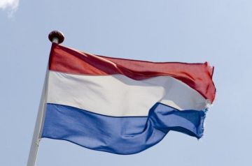 هولندا تخطط لإرسال عشرات المهاجرين إلى أوغندا هولندا تخطط لإرسال عشرات المهاجرين إلى أوغندا