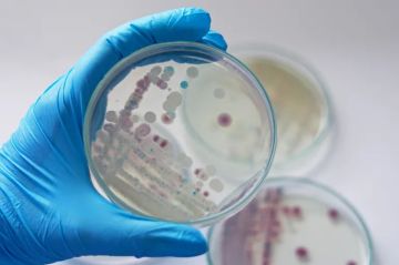 الصحة العالمية تحذر من ارتفاع نسب مقاومة الميكروبات للمضادات الحيوية الصحة العالمية تحذر من ارتفاع نسب مقاومة الميكروبات للمضادات الحيوية