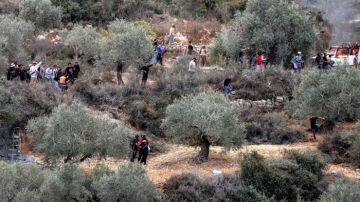 مستوطن يعتدي على مزارع فلسطيني مسن بالضفة مستوطن يعتدي على مزارع فلسطيني مسن بالضفة