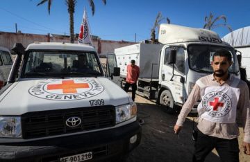 إسرائيل تعلن التوصل لجثة الرائد طال حايمي إسرائيل تعلن التوصل لجثة الرائد طال حايمي